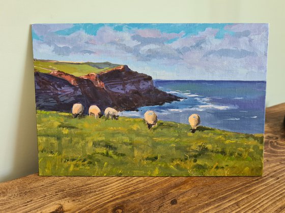 Sheep grazing on coastal cliffs