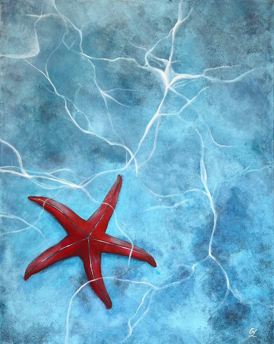 Treasures of the ocean - sea, starfish, aqua, water by Olesya Izmaylova