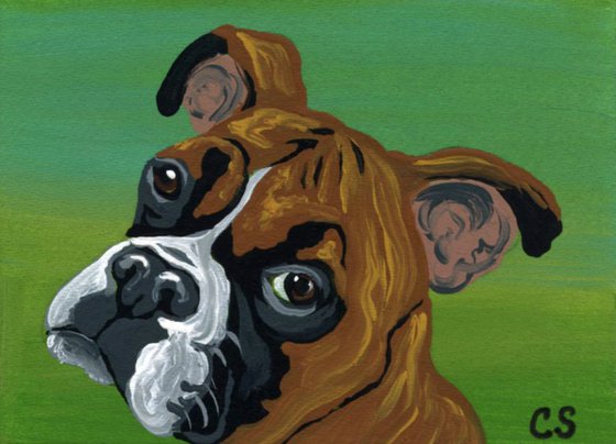 ACEO ATC Original Painting Boxer Pet Dog Art-Carla Smale