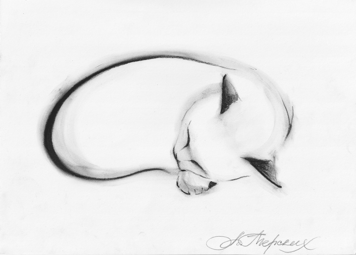 Animal Charcoal Drawing By Anastasia Terskih, 12 X 8, Cat, Original Artwork