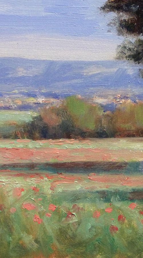 Poppy Field near Mane by Pascal Giroud
