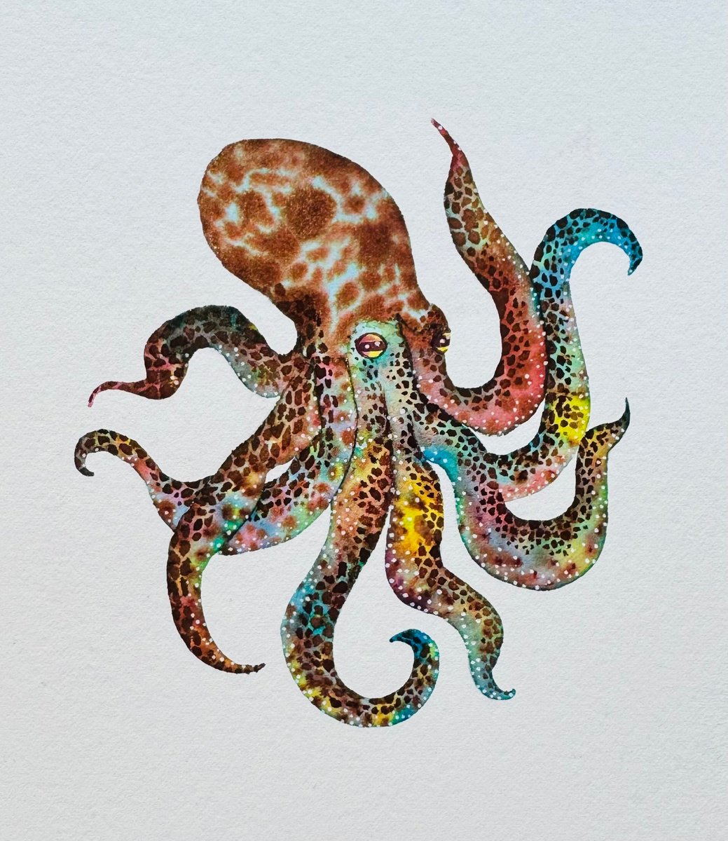 Original Watercolour Octopus by Kate Mac