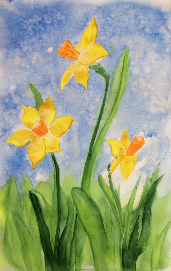 Yellow narcissus on a blue sky background