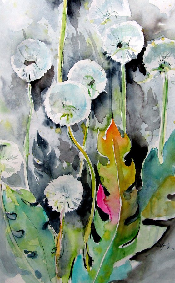 Old dandelions II