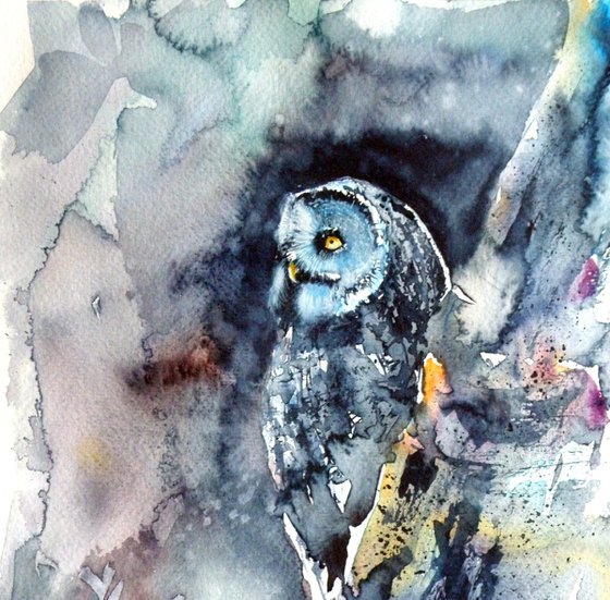 Owl at night