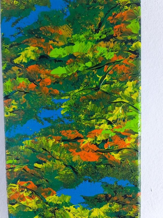 Colorful autumn 3