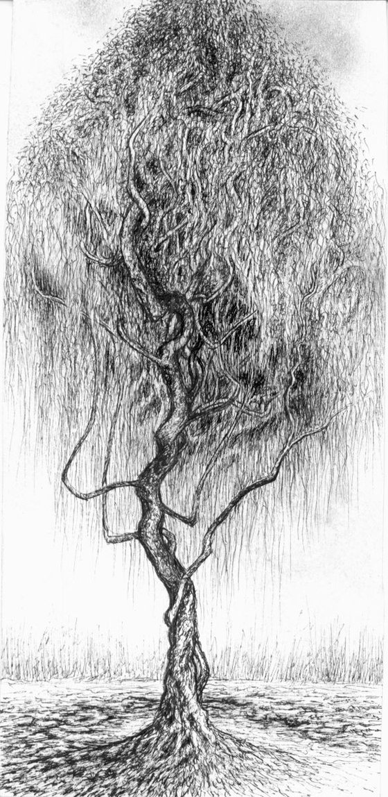 A series of "Mystic Trees" 07