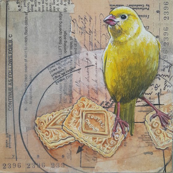 The Canary and the Custard Creams