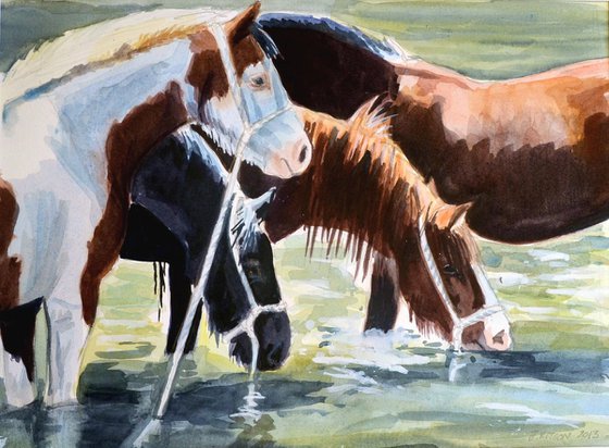 River Horses, Appleby