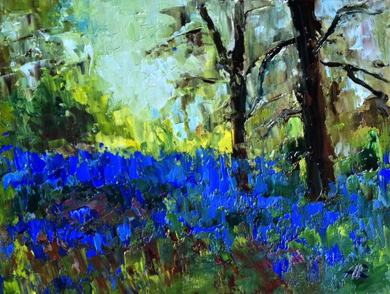 Spring bluebells