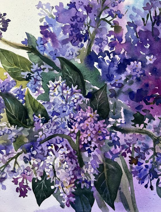 Bouquet of lilacs flowers.