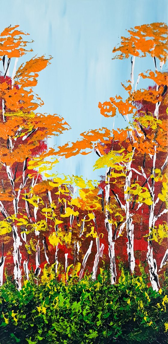 Heavenly Birches 1