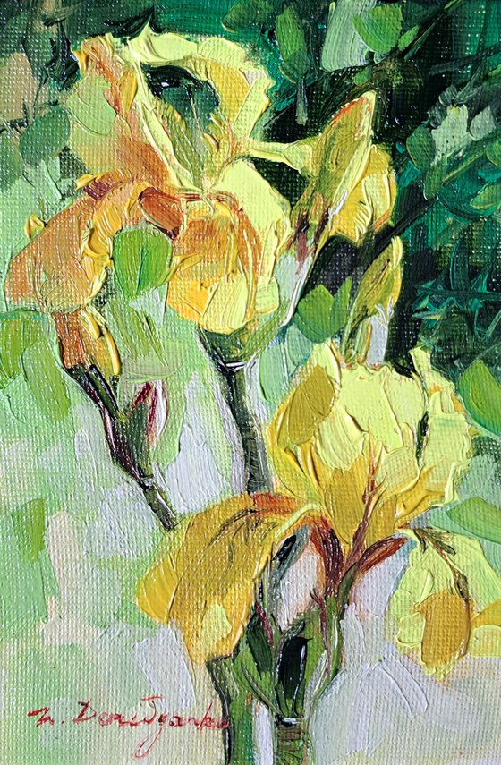 Yellow irises