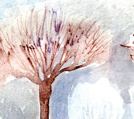 Winter Garden