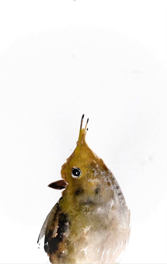Birds in Watercolor. Set of 3.