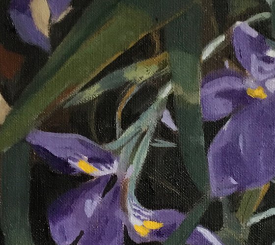 Winter Irises