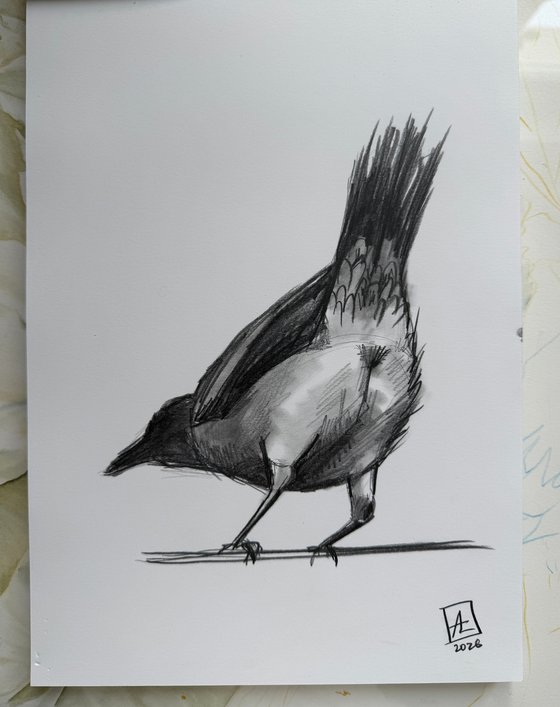 One Crow Adventures II