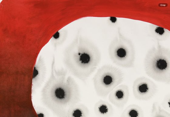 Divisible by red
