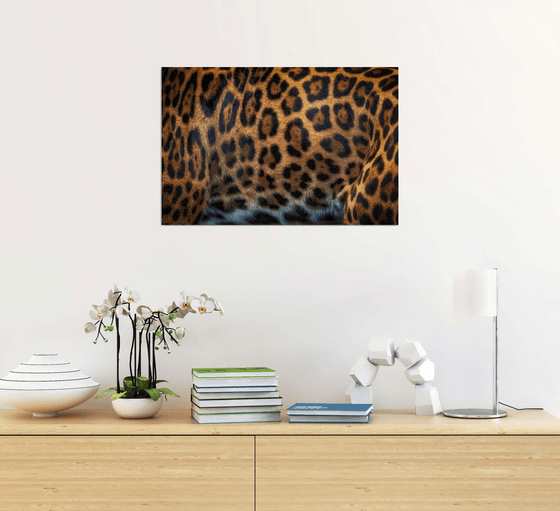 Jaguar coat abstract