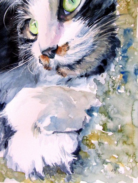 Resting cat