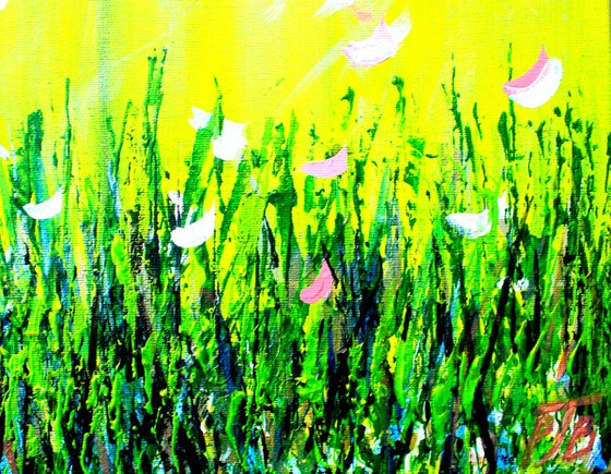Magnolia Spring