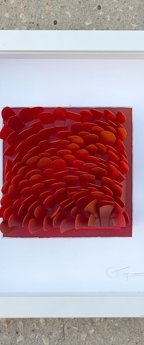 Ruby Red Reef by Swapna Namboodiri