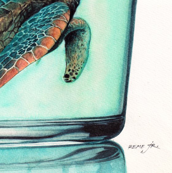 Turtle in Glass