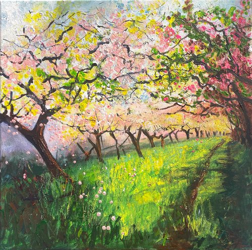 Pink Orchard blossom Spring by Teresa Tanner