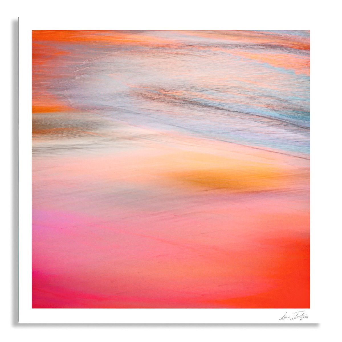 Impressionistic Landscape Photograph By Lynne Douglas, 36 X 36", Pink Sensation, Original Artwork