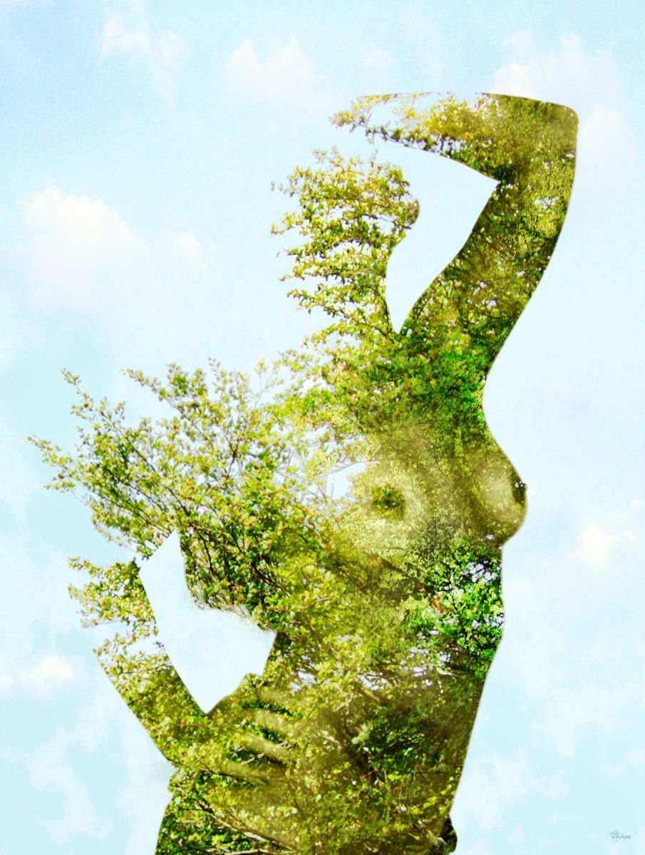 Illustrative Portrait Photograph By Bojan Jevtic, 33 X 43, From The Treetop, Original Artwork