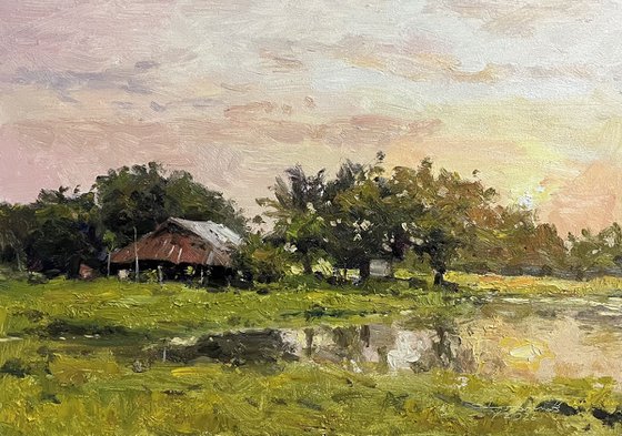 Twilight Rice Fields
