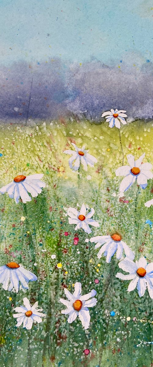 Summer meadow by Heather Matthews