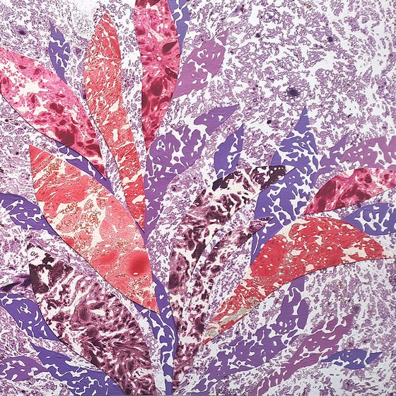 Set of 2 «Lavender Tropics»