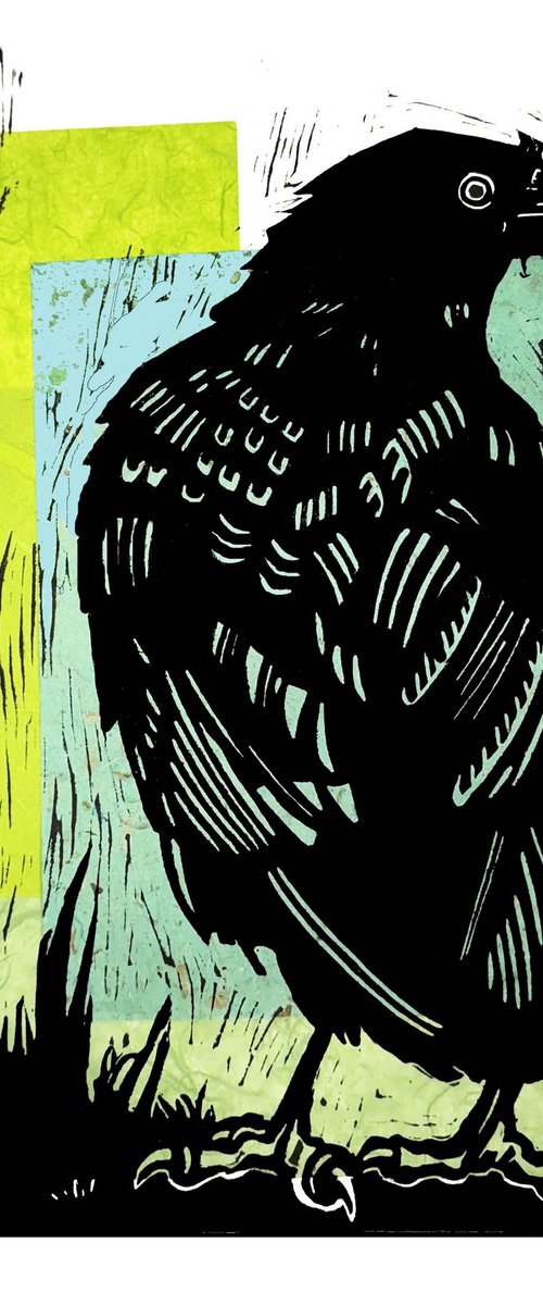 Crow by Laurel Macdonald