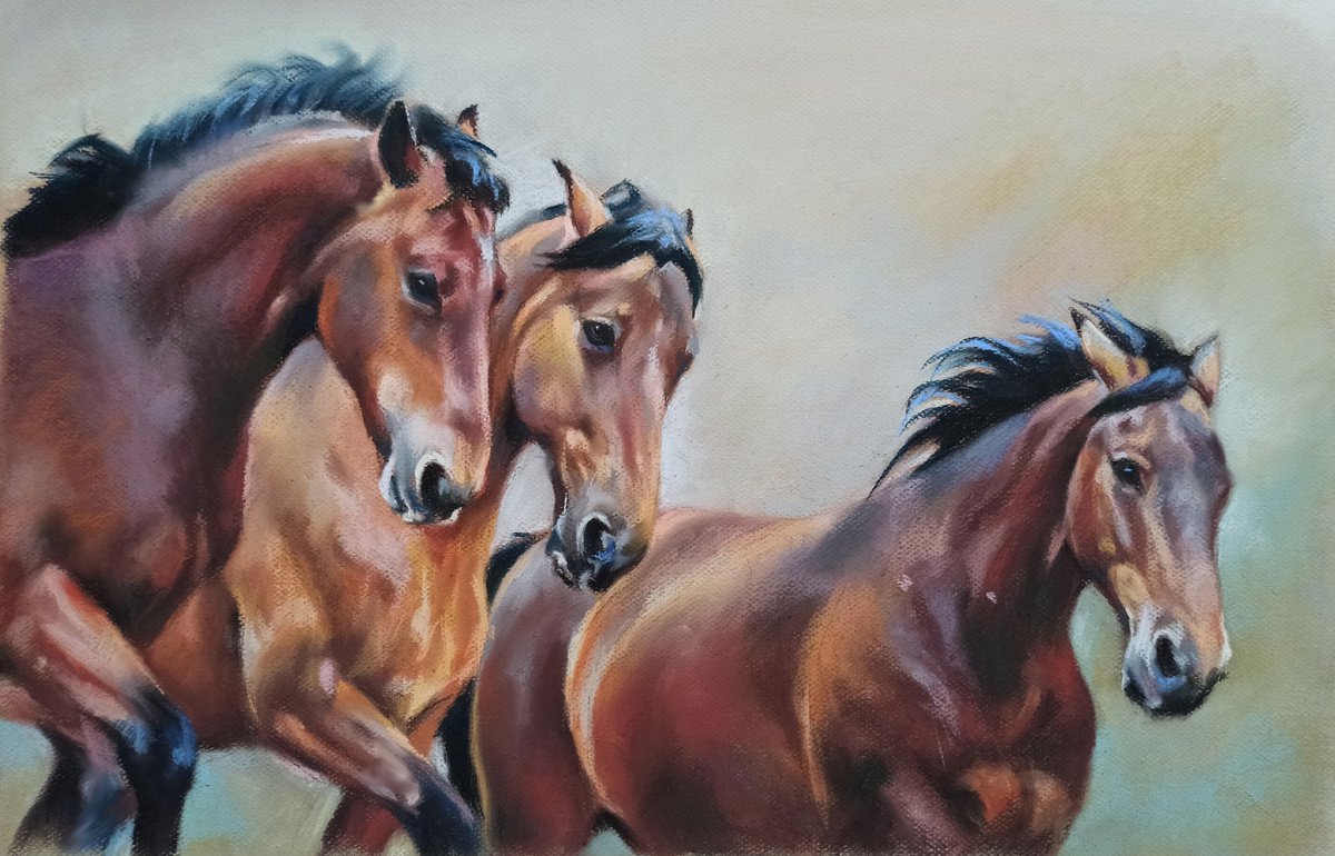 three-horse team by Magdalena Palega