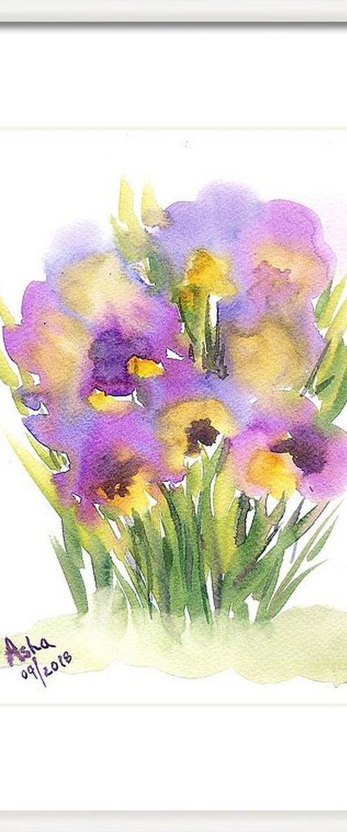 Pansies by Asha Shenoy