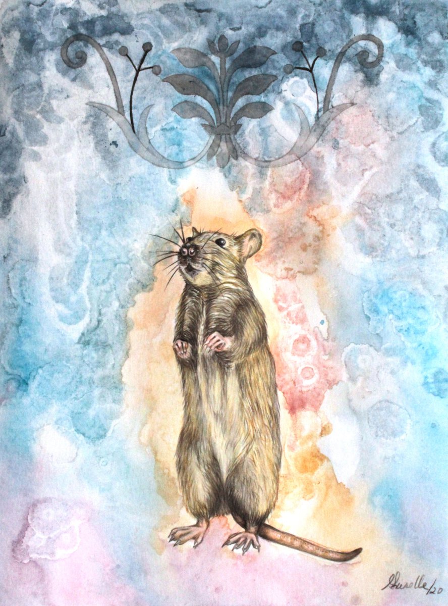 The rat: sacred animal. by Griselle Morales Padron