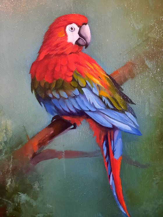 Parrot (24x35cm, oil painting, ready to hang, framed)