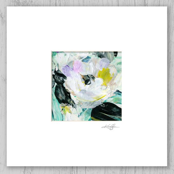 Blossoms Of Love Collection 5