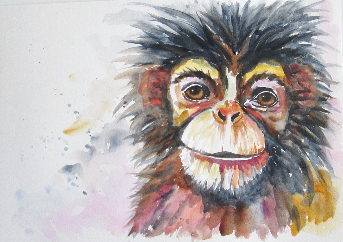 Sweet Monkey Face Watercolour by MARJANSART Artfinder