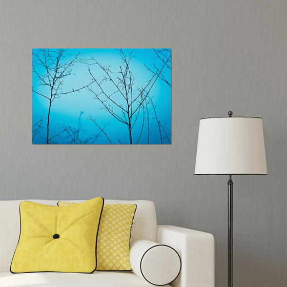 Twilight in the outdoors | Limited Edition Fine Art Print 1 of 10 | 75 x 50 cm