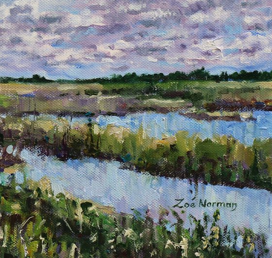 Ouse Fen