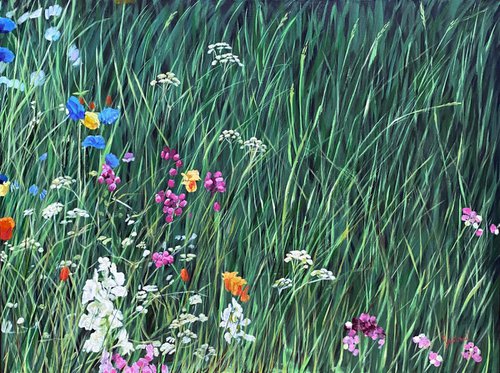 Wild Flowers Field by Suzana Bulatovic