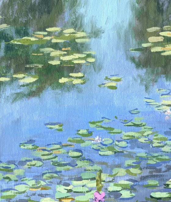 Tranquil Lily Pond