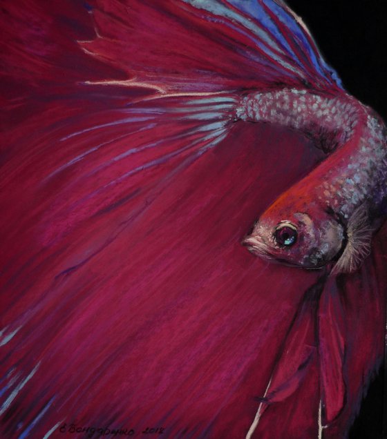 "Red Cock". Original Pastel Portrait