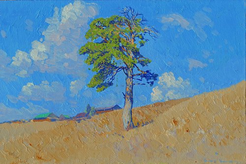 Pine on a hillside. Kyn by Simon Kozhin