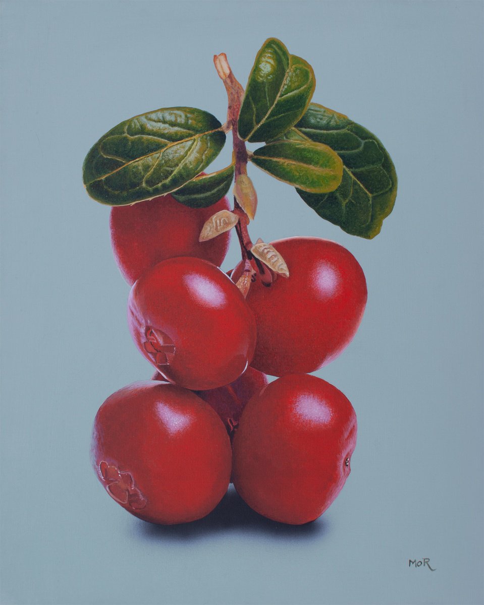 Cranberry Twig by Dietrich Moravec