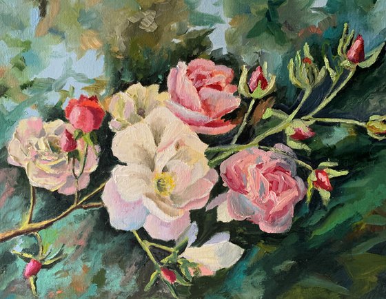 Garden Roses. Flowers blossom.