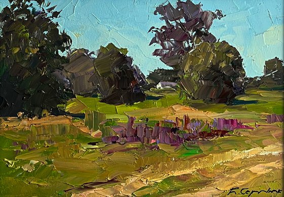 In the Summer Meadows