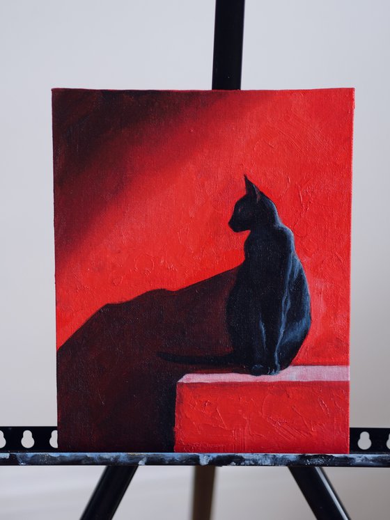 Black Cat on Red